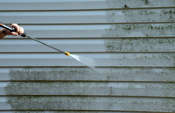 Reliable Harrington, DE Pressure Washing Services Solutions